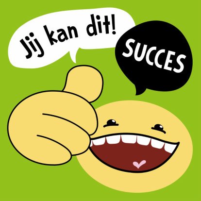 Afbeeldingsresultaat voor succes